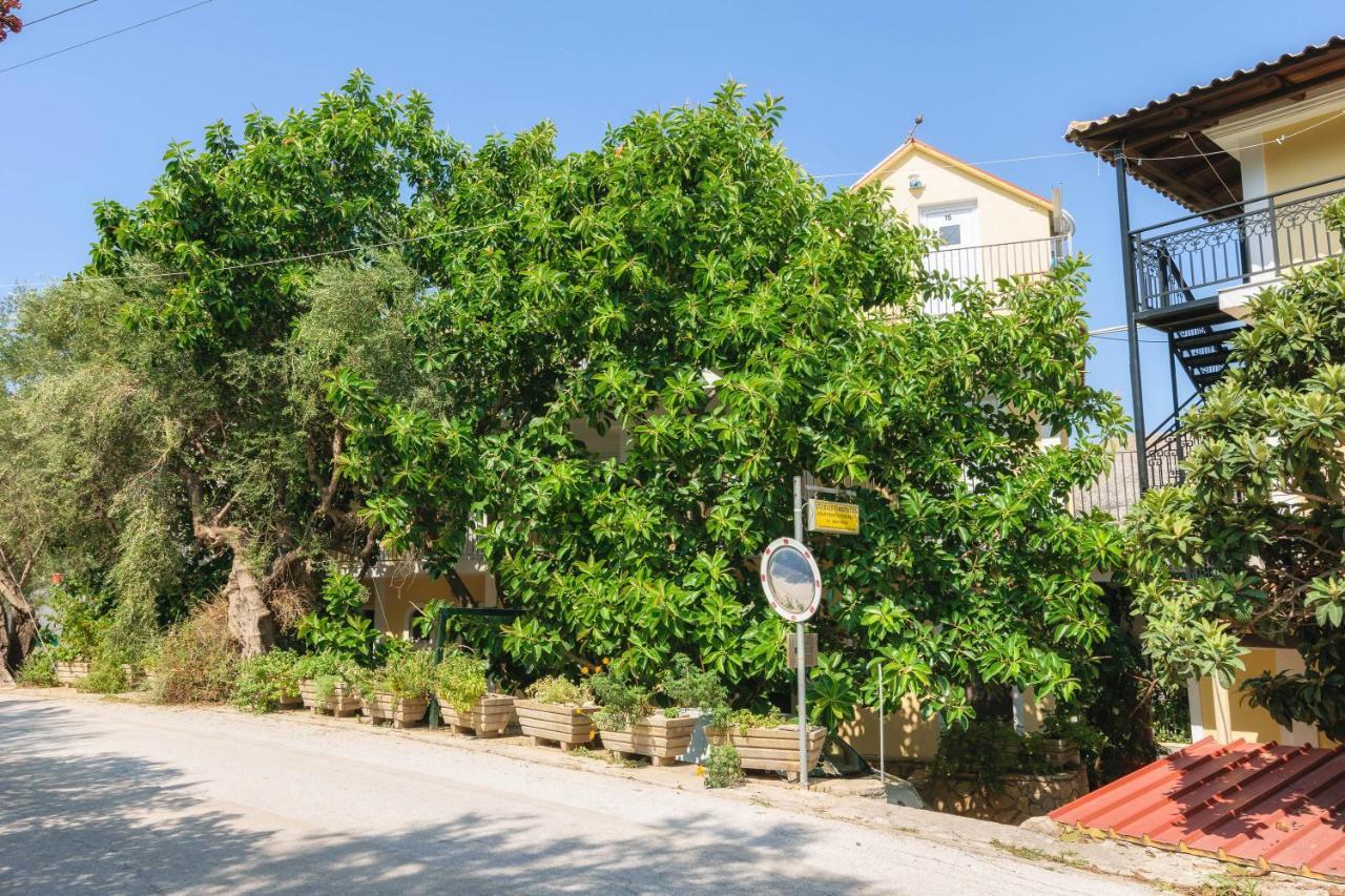 Studio Timotheos Marathias  Bagian luar foto